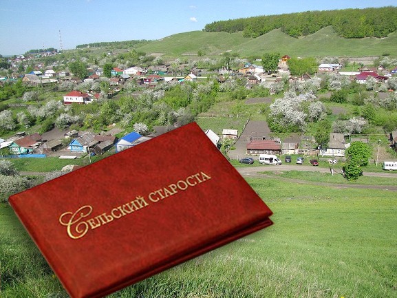 selskij-starosta